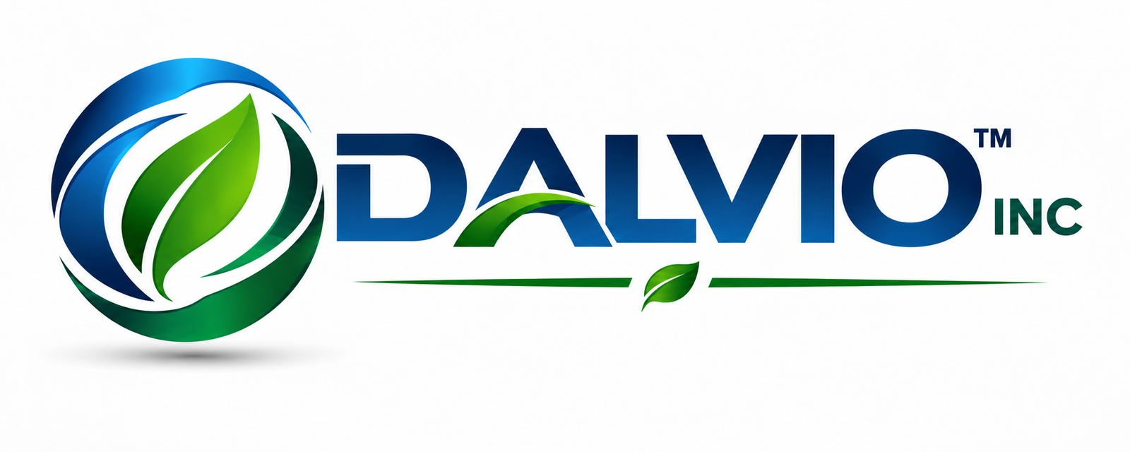 Dalvio Environmental Services, Inc. logo